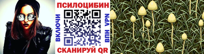 Псилоцибиновые грибы MAGIC MUSHROOMS  MEGA зеркало  Псков  хочу  